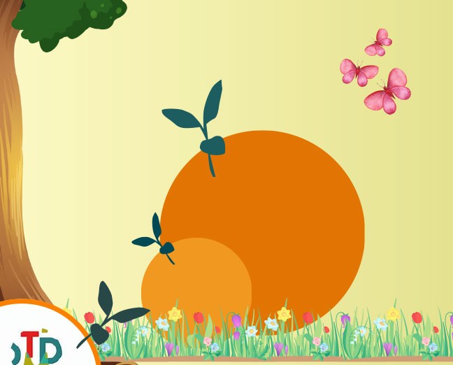 Découvrez le programme de l'Orangerie pour mai