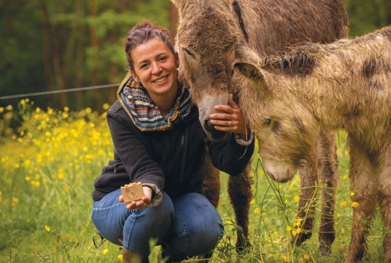 Découvrez le guide des producteurs locaux de TDM !